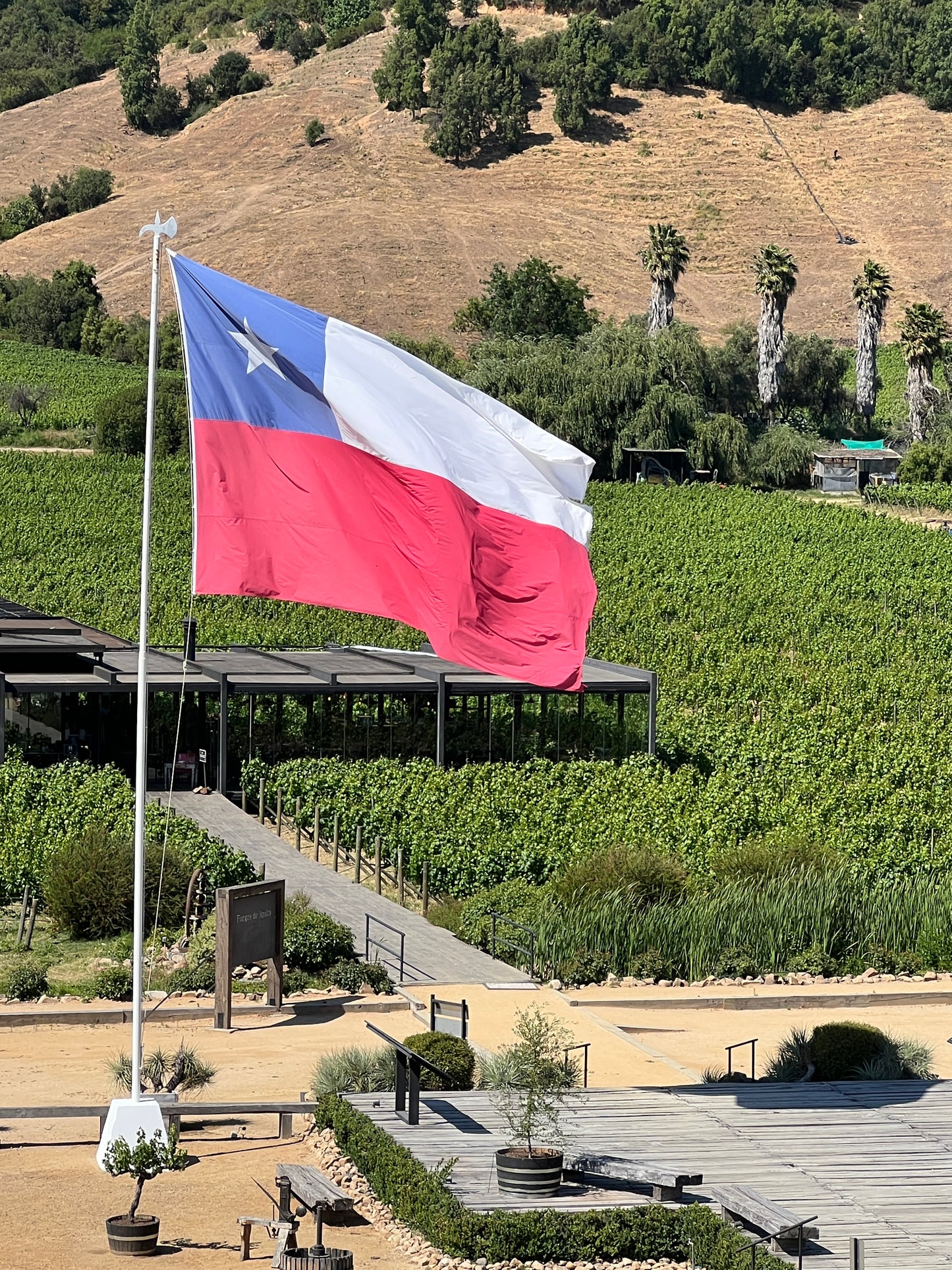 Chili vs. de rest (zondagmiddag 15 maart)