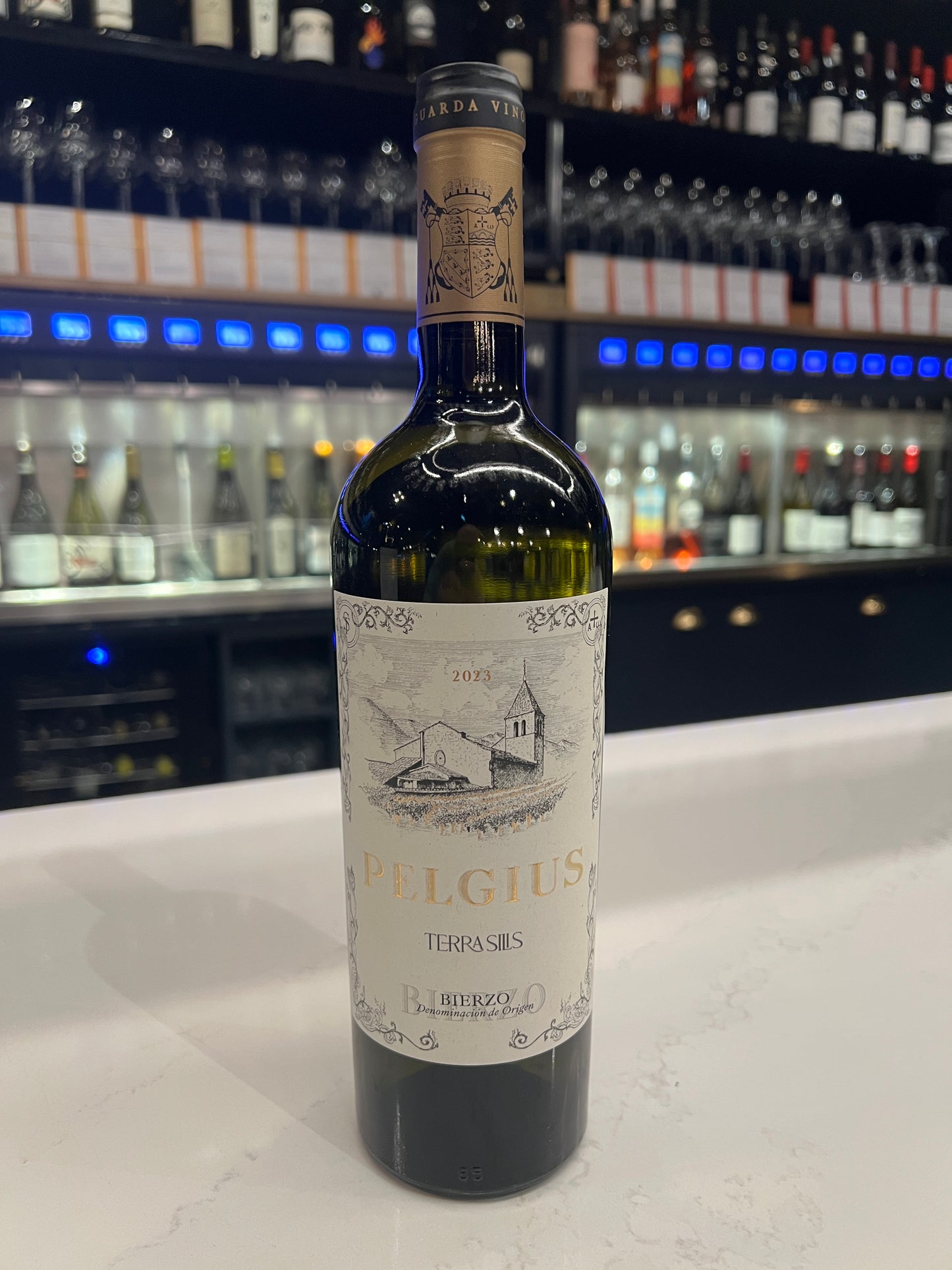 Terra Silis Pelgius Godello (2022)