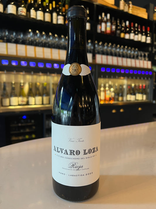 Alvaro Loza Haro Labastida (2022)