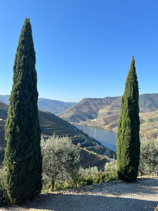 We love Portugal (zondagmiddag 3 mei)