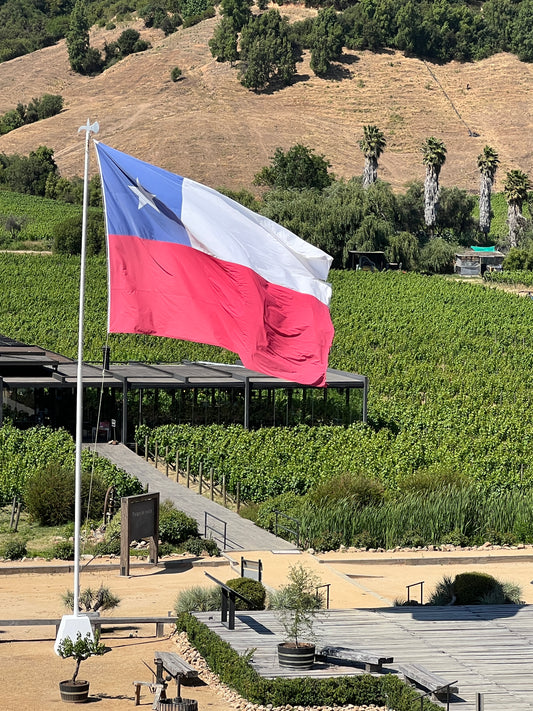 Chili vs. de rest (zondagmiddag 15 maart)